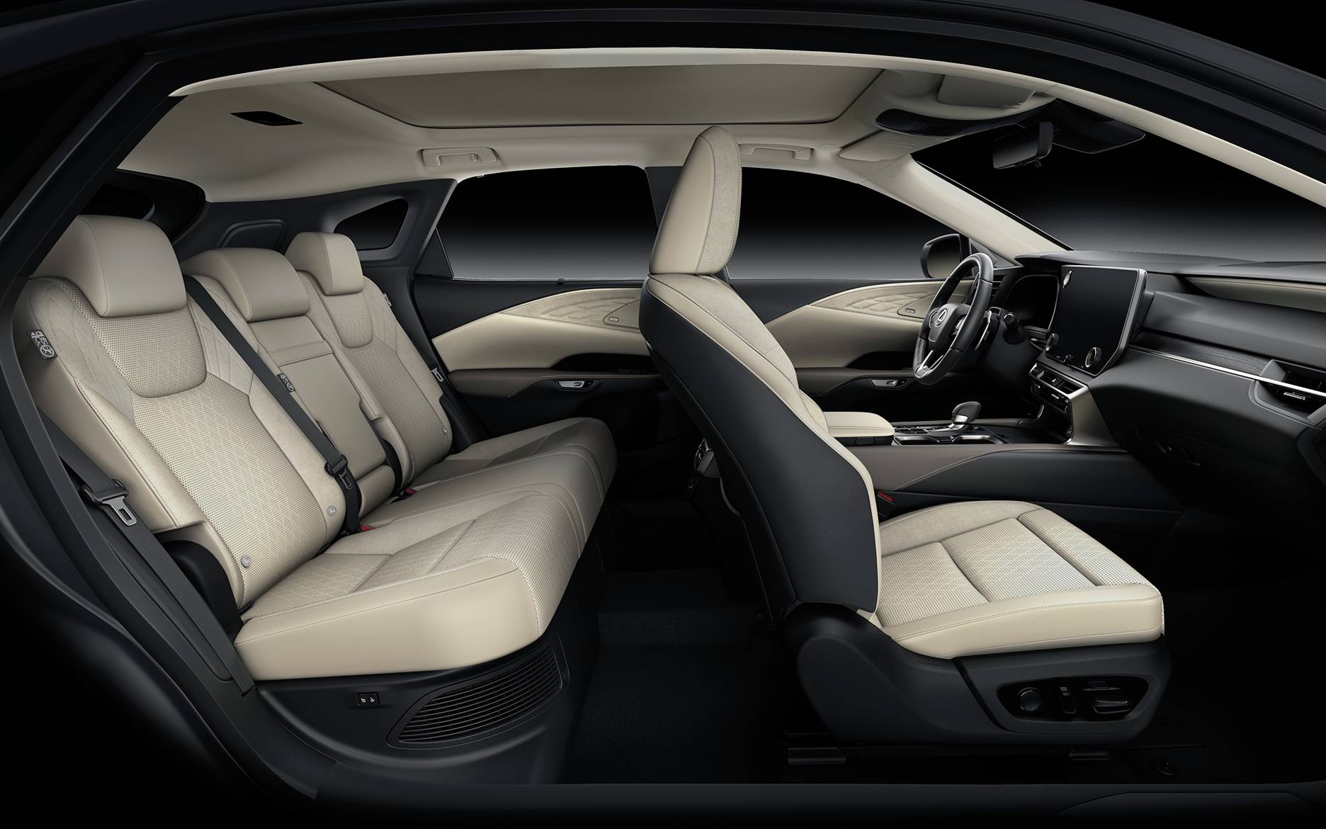 GHẾ CÔNG THÁI HỌC